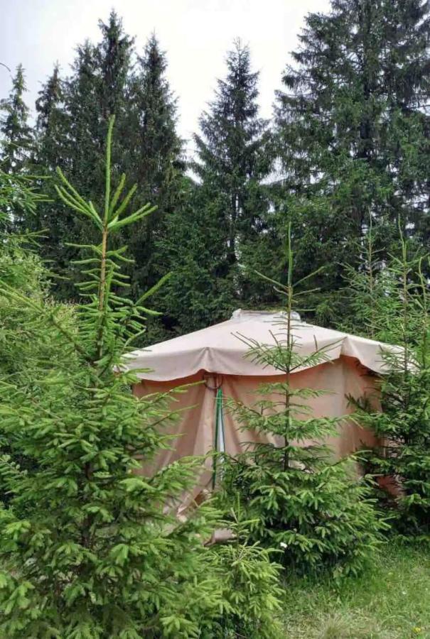 Eco Glamping - Carpathians. Retreat Hub Dzin Space Werchowyna Exterior foto