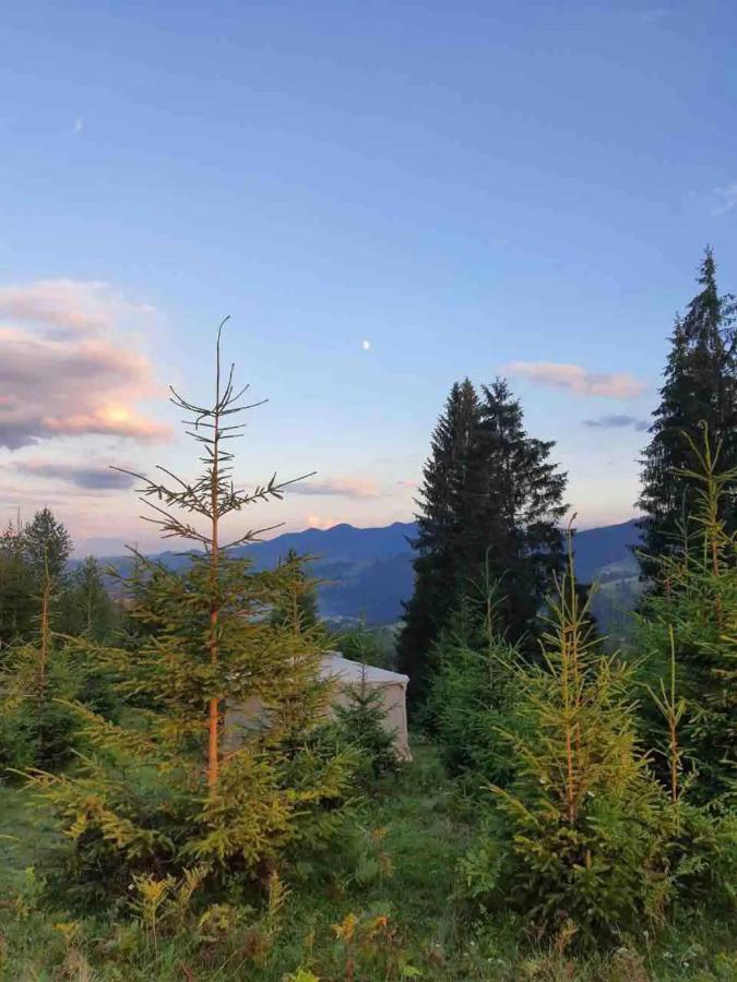Eco Glamping - Carpathians. Retreat Hub Dzin Space Werchowyna Exterior foto