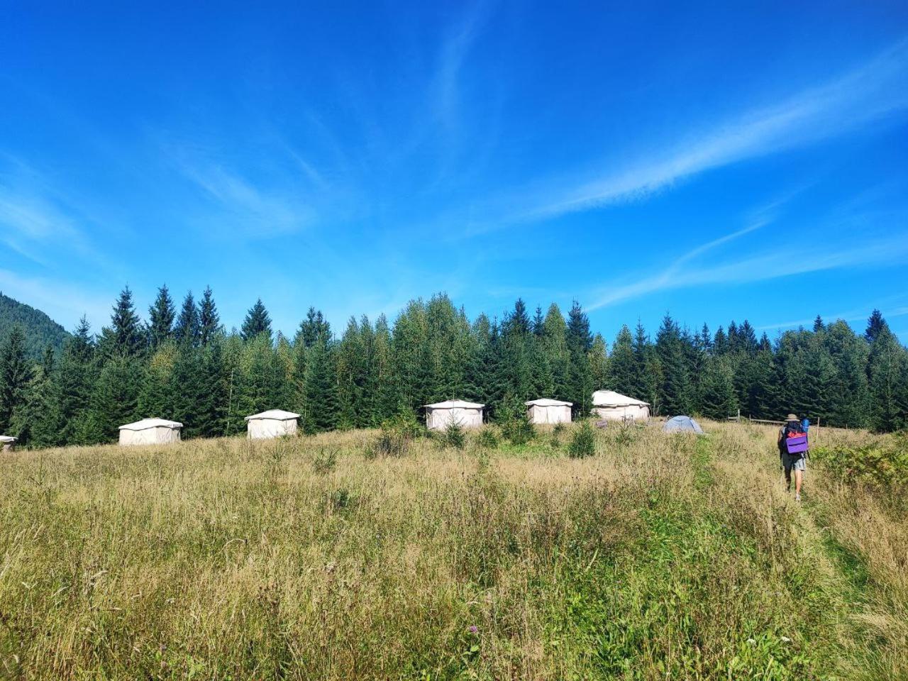 Eco Glamping - Carpathians. Retreat Hub Dzin Space Werchowyna Exterior foto